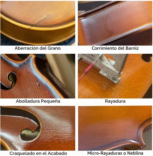 Vista 5 de Violín Bunnel Premier