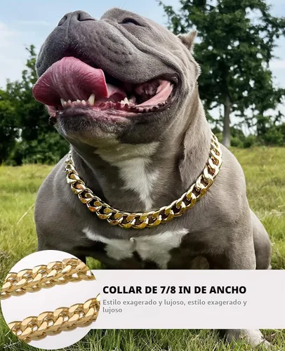Vista 2 de Collar de perro de cadena dorada – Collar de perro de eslabones cubanos de metal de 7/8 pulgadas de ancho con cinturón de cuero, ligero protege