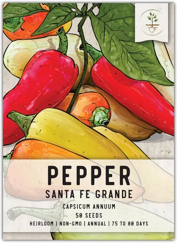 Vista 119 de Seed Needs - Semillas de pimiento arcoíris para plantar verduras, 1 paquete