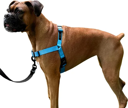 Vista 12 de ShawnCo Dream Walk Arnés para Perros Sin Tirones - Ajustable, Cómodo, Fácil de Usar, Cabestro para Mascotas para Ayudar a Detener los Tirones