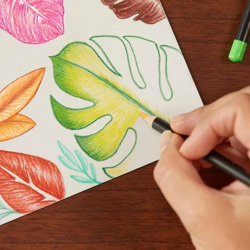 Vista 5 de BIC Intensity Lápices de colores en estuche de cartón de alta calidad apto para adultos, varios colores, paquete de 24