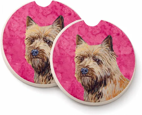 Vista 41 de Caroline's Treasures SS4767-BUCARC - Juego de 2 portavasos para automóvil, diseño de bulldog inglés, absorbentes para automóvil, portavasos