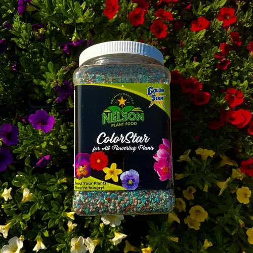 Vista 2 de Nelson Plant Food s ColorStar Fertilizante para plantas de interior y exterior – Alimento vegetal denso en nutrientes para aumentar