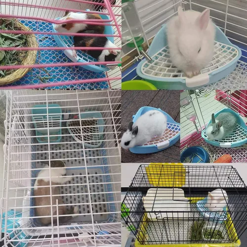 Vista 6 de Hamiledyi Caja de arena pequeña para conejo para jaula triangular, entrenador de orinal de esquina, conejo, inodoro, bandeja de plástico para Azul