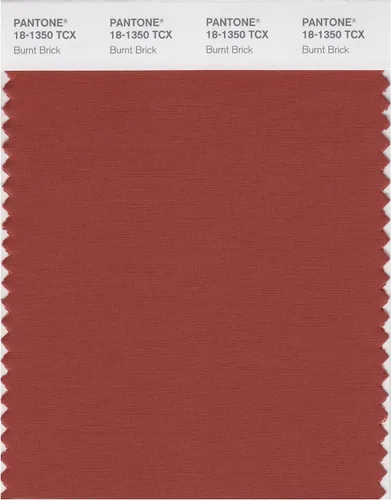 Vista 7 de PANTONE Tarjeta de muestra de color inteligente 18-1314X, bellota