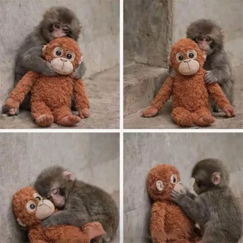 Vista 4 de Peluche de mono de 26 pulgadas, almohada de peluche suave, para niños, novia, cumpleaños, Navidad, regalos