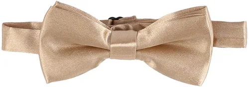 Vista 4 de Conjunto de corbata de león para el primer cumpleaños para bebés y niños 5 piezas de accesorios para fotos