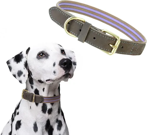Vista 29 de Mile High Life Collar ajustable de polialgodón suave y fuerte con hebilla de liberación rápida para perros pequeños a grandes