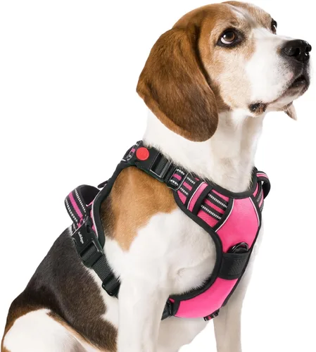 Vista 55 de Rabbitgoo - Arnés para perro de tamaño pequeño, arnés para mascotas sin tirones con 3 hebillas, chaleco acolchado suave ajustable con mango