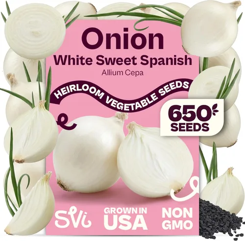 Vista 82 de Queen Anne 's Lace- 200 semillas – 50% de descuento venta