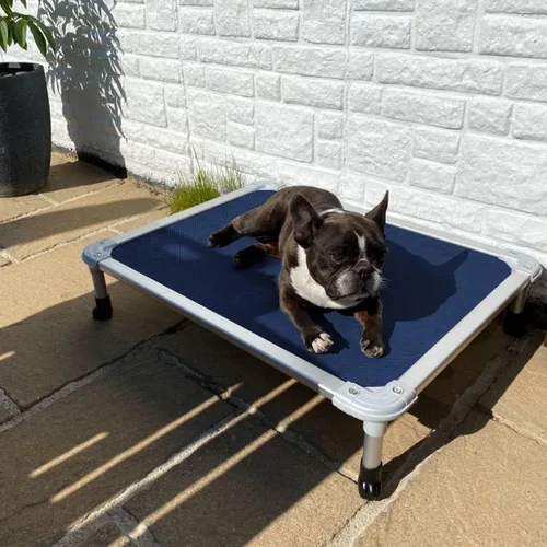 Vista 47 de Veehoo Cama elevada para perros a prueba de mordidas - Cuna elevada refrescante para mascotas - Marco de aluminio plateado y tela de malla