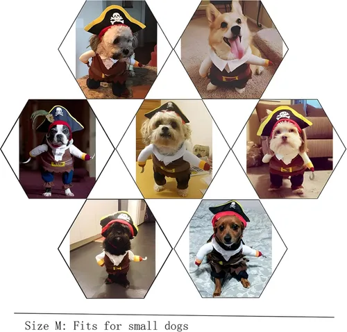 Vista 6 de Disfraz para perro de piratas del Caribe (talla mediana)