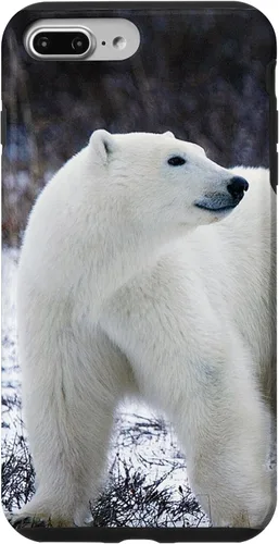 Vista 12 de Polar Bears Animal Nature Case for iPhone 17