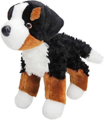 Vista 2 de Douglas Miranda - Perro de montaña bernés de peluche