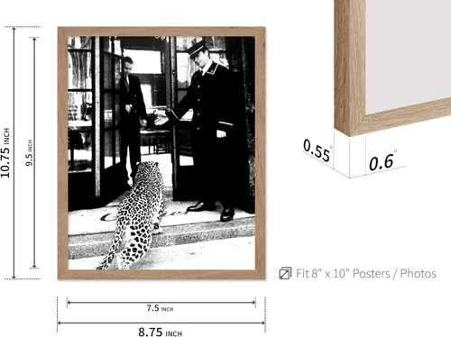 Vista 3 de Poster Master Póster de leopardo – Pantera en impresión de boutique de moda – Arte de fotografía – Arte animal – Arte en blanco y negro – Arte