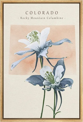 Vista 25 de Lienzo enmarcado para pared, diseño de rosa del desierto con pinchos, plantas florales suculentas, fotografía, arte moderno, primer plano