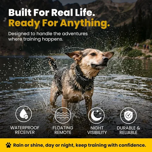 Vista 9 de Educator ET-300 Mini Collar E negro para adiestramiento de perros con control remoto, rango de 1/2 milla, impermeable, 100 niveles de estimulación