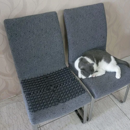 Vista 7 de Ley's Paquete de 12 alfombrillas disuasorias para gatos, 6 x 8 pulgadas, con púas, mantiene a los gatos alejados de las plantas, muebles