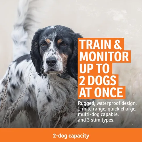 Vista 3 de SportDOG FieldSentinel 825 - Entrenador remoto con alertas de salud de guardaespaldas, monitorea la frecuencia cardíaca y el esfuerzo - Entrenador