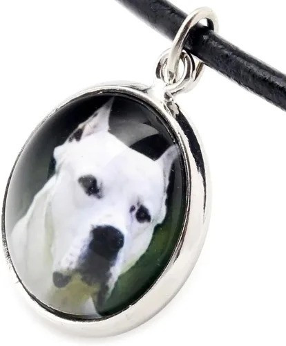 Vista 3 de Dogo Argentino, collar joyas para amantes de los Perros, fotos, hecho a mano