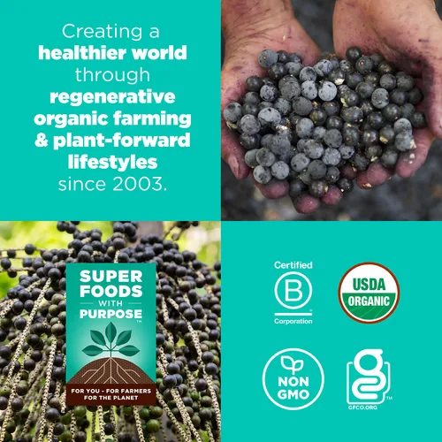Vista 5 de Navitas Organics Berry Acai Superfood+ BITES – Power Snacks – Todo natural a base de plantas – Energía limpia y nutrición – USDA orgánico, sin OMG