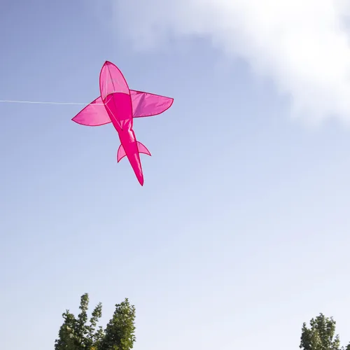 Vista 4 de in The Breeze 3D Shark Kite - Single Line - Easy-Flying - Includes Kite Line and Bag