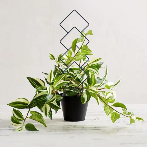 Vista 9 de Wellsign Enrejado de plantas de interior para plantas trepadoras, enrejado de metal de jardín pequeño de 16 pulgadas para plantas en macetas al aire