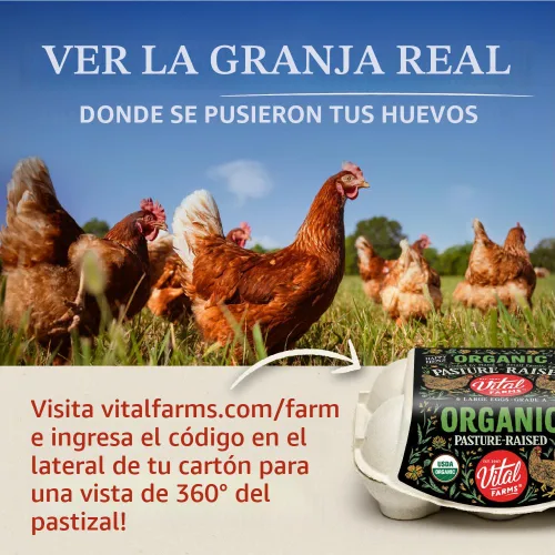Vista 3 de Docena de huevos orgánicos Vital Farms. Huevos grandes, marrones con certificado