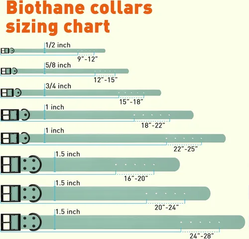 Vista 310 de Dogline Biothane - Collar impermeable para perro con hebilla de liberación rápida, resistente cincha de nailon recubierta con resistente y a prueba
