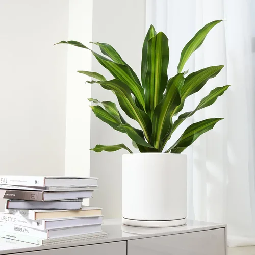 Vista 6 de Kazeila Macetas de cerámica para plantas de interior y exterior, flores, 10 pulgadas, blanco mate, maceta cilíndrica grande con platillo y orificio