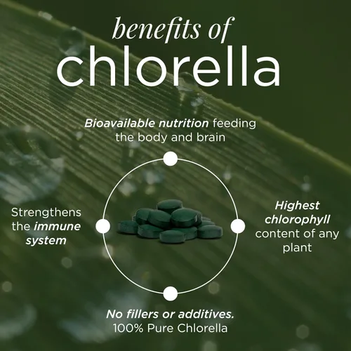 Vista 3 de RECOVERYbits - Tabletas orgánicas de Chlorella - Superalimento de algas a base de plantas - Clorofila - Pared celular agrietada - Energía - Sistema