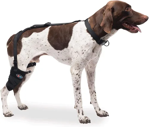 Vista 8 de Caldera Pet Therapy Universal Wrap Carpal/Codo con Gel, Mediano, Negro (PET205)