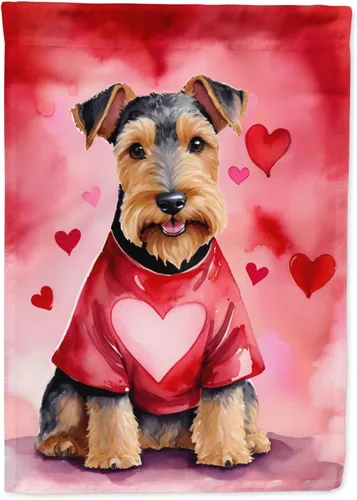 Vista 102 de Caroline's Treasures DAC5252GF Affenpinscher - Bandera de jardín con texto en inglés "My Valentine", bandera decorativa para patio exterior, patio