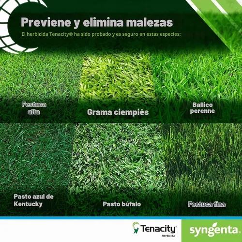 Vista 4 de Herbicida Syngenta Tenacity - Control de malezas pre-emergentes y post-emergentes, herbicida líquido de 8 oz. para céspedes y céspedes de césped
