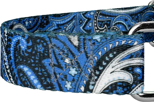 Vista 6 de Country Brook Petz - Collar de perro Martingala de cachemira azul, colección Paisley con diseños elegantes (1/2 pulgada, 2XS)