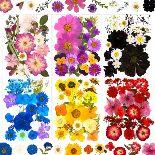 Vista 7 de 92 hojas de flores secas prensadas para moldes de resina, manualidades de bricolaje