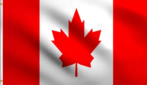 Vista 192 de DMSE - Bandera nacional beninesa beninesa de la República de África Occidental, 2 x 3 pies, 100 % poliéster, 100 % poliéster, resistente a los rayos