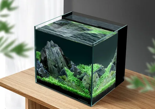 Vista 6 de LANDEN 35C Tanque de Acuario de Vidrio Ultra Transparente Sin Marco de Hierro Bajo de 7.2 Galones con Cámara de Filtración Trasera (Bomba Incluida)