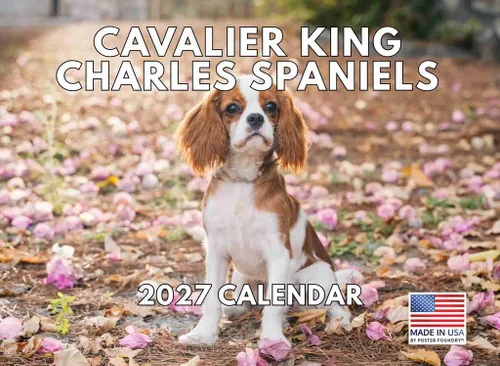 Vista 80 de Calendario mensual de pared Airedale Terrier Dog 2027
