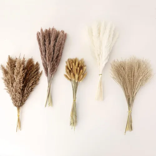 Vista 4 de 120 piezas de hierba seca de las pampas de 17 pulgadas, decoración bohemia de la habitación, ramo floral de pompas blancas esponjosas y secas