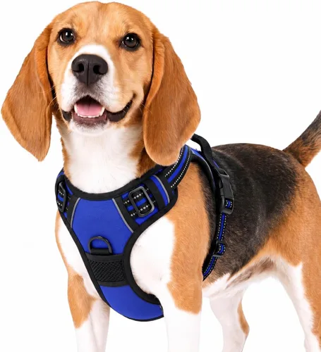 Vista 2 de Funfox Arnés para perro sin tirones, chaleco ajustable para mascotas con asa de control y clip frontal, diseño reflectante para perros pequeños