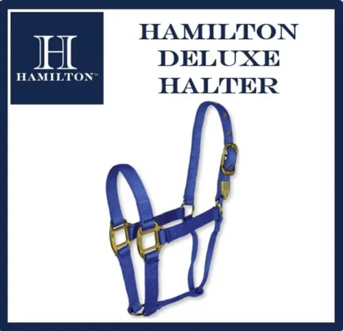 Vista 4 de Hamilton Caballo de nailon de 1 pulgada, tamaño pequeño (500-800 libras), azul baya