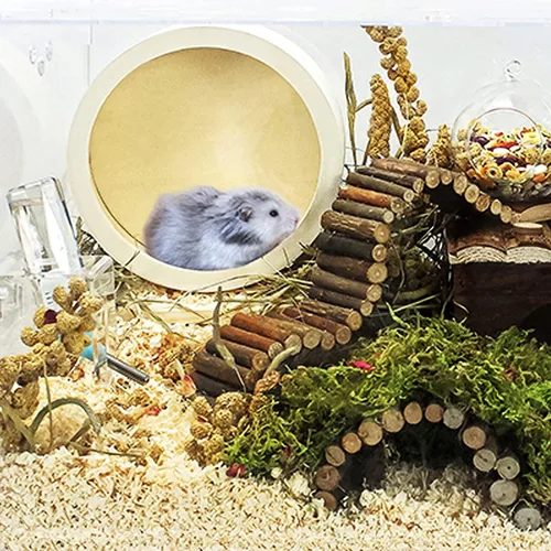 Vista 7 de Rueda de madera para correr de hámster, rueda de ejercicio de madera para mascotas pequeñas, juguete de juego para ratas, jerbos, chinchillas