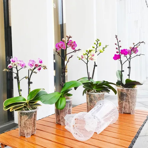 Vista 5 de Paquete de 8 macetas de orquídeas, 2 de cada una de 3.9, 4.7, 5.5 y 6.3 pulgadas, macetas transparentes para orquídeas con agujeros