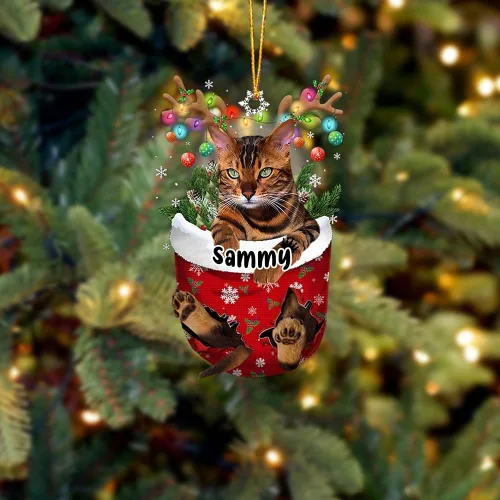 Vista 40 de Adorno personalizado de gato de rizo americano, adorno personalizado con nombre de mascota, colgante acrílico plano impreso en 2D, Papá Noel y gato