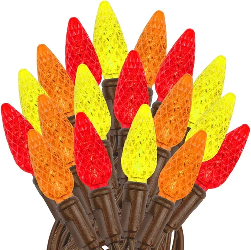 Vista 44 de Novelty Lights - Mini juego de 70 luces C6 LED de Navidad, serie de luces de grado comercial para exteriores, cable verde, 24 pies