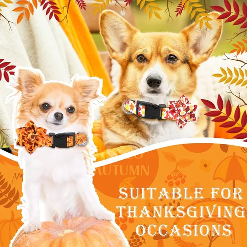 Vista 7 de Silkfly 6 collares de Navidad para cachorros con flores de otoño, arce, pavo, calabaza, collar ajustable para mascotas con hebilla de plástico