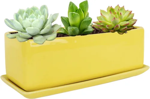 Vista 11 de Vencer Maceta rectangular moderna minimalista de cerámica para suculentas de 12 pulgadas, caja con ventana con platillo, soporte de escritorio