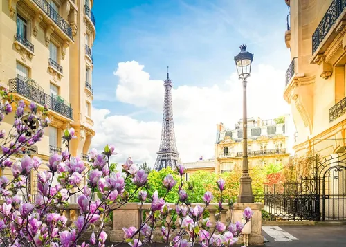 Vista 2 de BELECO Telón de fondo romántico de la Torre Eiffel de París, de 5 x 3 pies, diseño romántico de París, flores florecientes de primavera, cielo azul