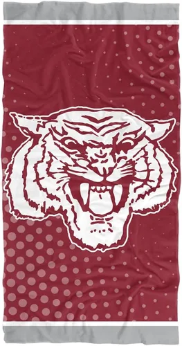 Vista 52 de LOGOVISION Manta Abilene Christian University, 30x60 Logo Dots CottonFront/PolyBackBeachTowel